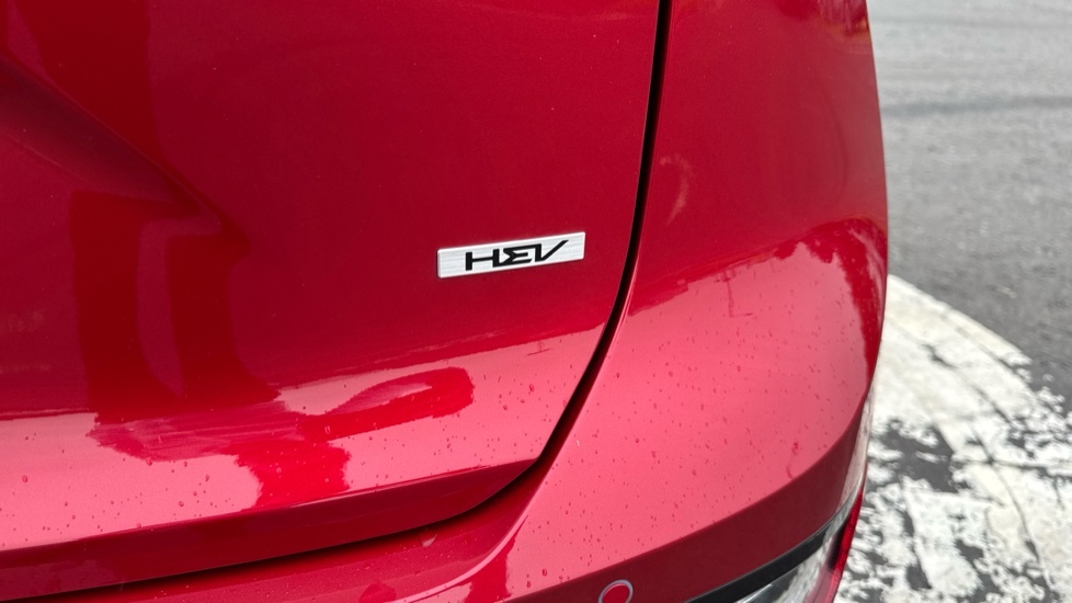 Kia Niro Evolve Hev S-a Grey #29