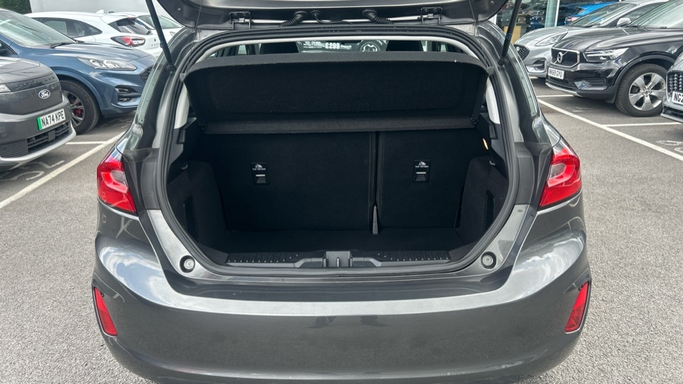 Ford Fiesta Trend Grey #4