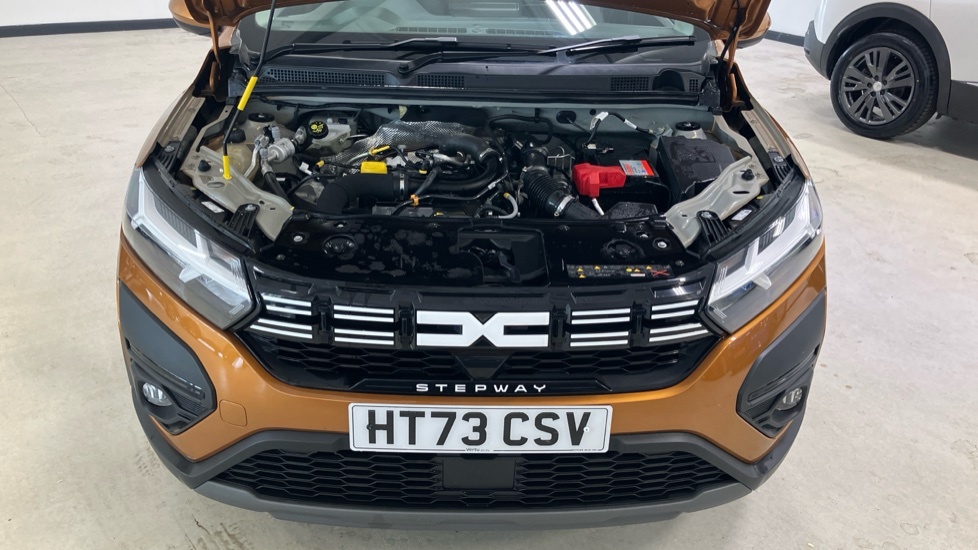 Dacia Sandero Stepway 1.0 Tce Extreme Black #8