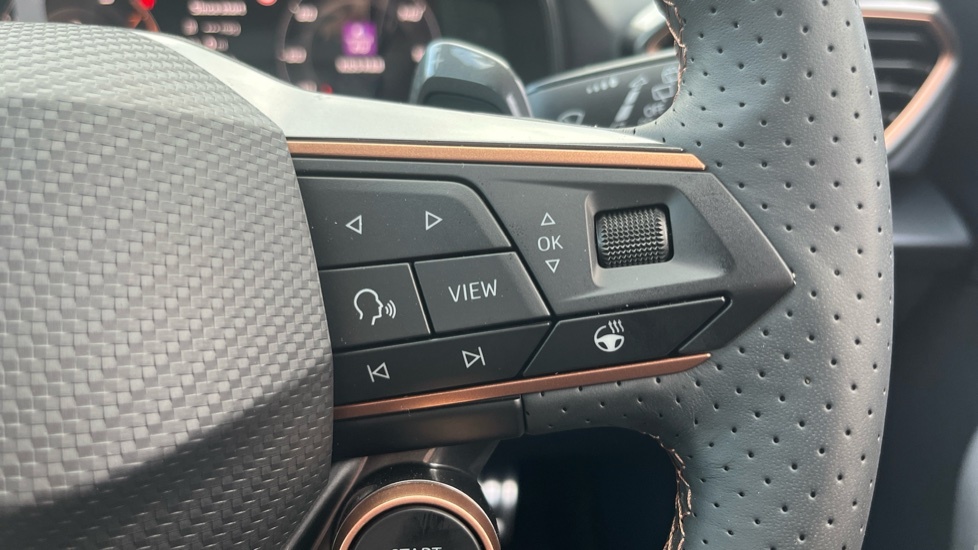 Cupra Formentor Formentor 1.5 Ehybrid 272 Vz2 Dsg Estate Grey #18