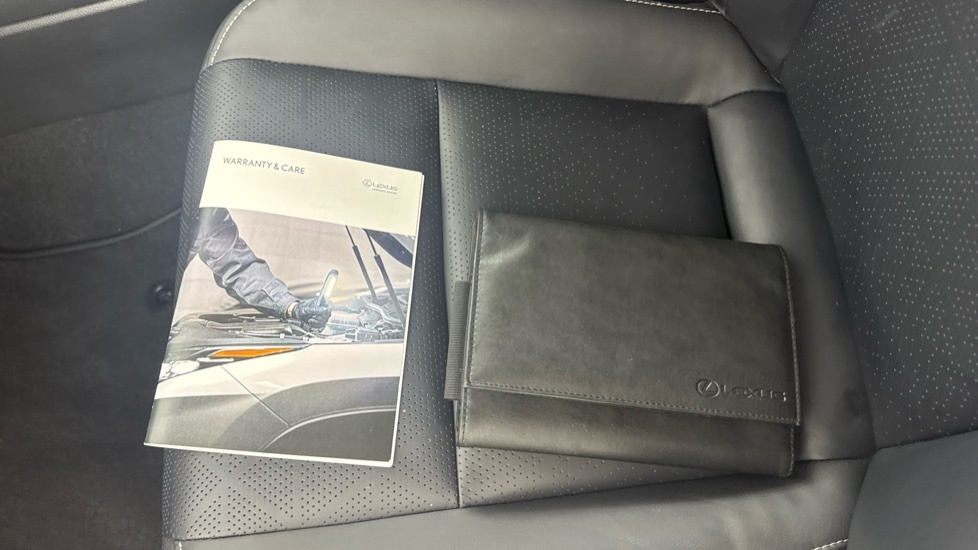 Lexus UX 250H 2.0 Cvt Premium Sport Edition White #25