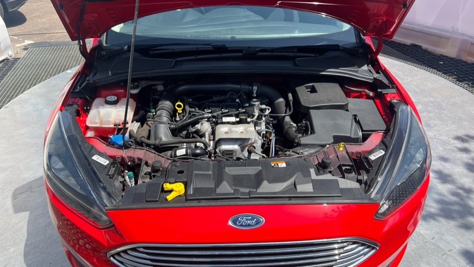 Ford Focus  Black #8
