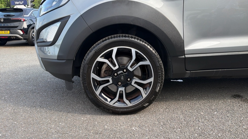Ford Ecosport Active White #41