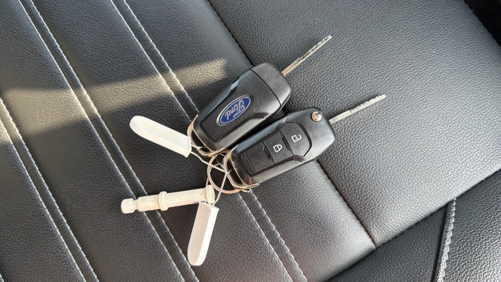 Ford Ecosport Active White #23