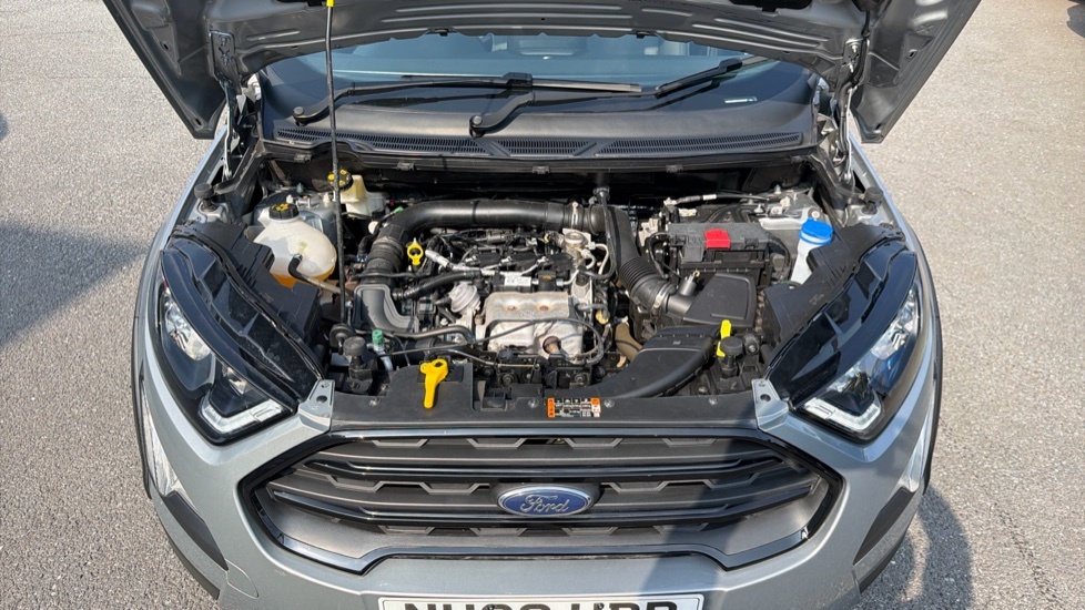 Ford Ecosport Active White #7