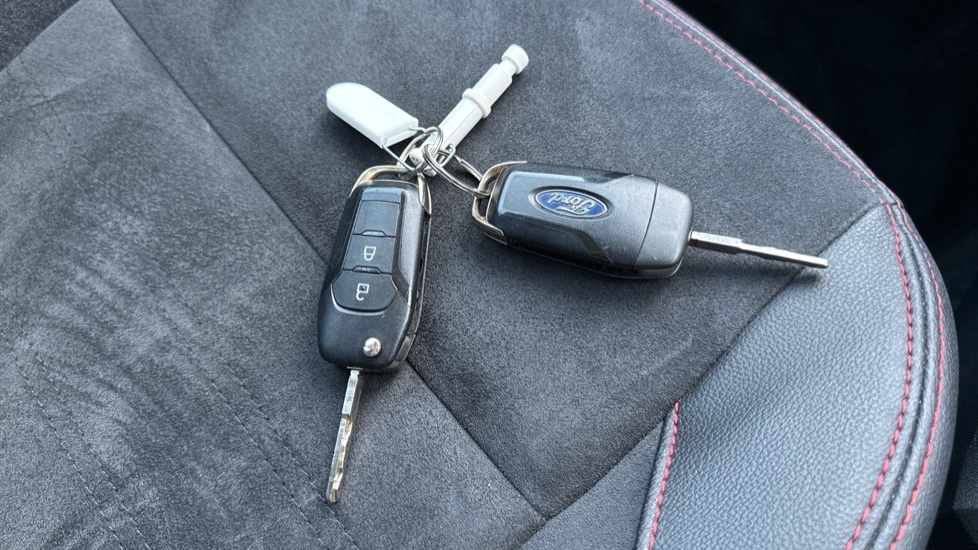 Ford Ecosport 1.0 Ecoboost 125 Active Silver #19