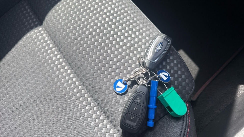 Ford Focus 1.5 Ecoblue 120 Titanium Privacy Glass Grey #19