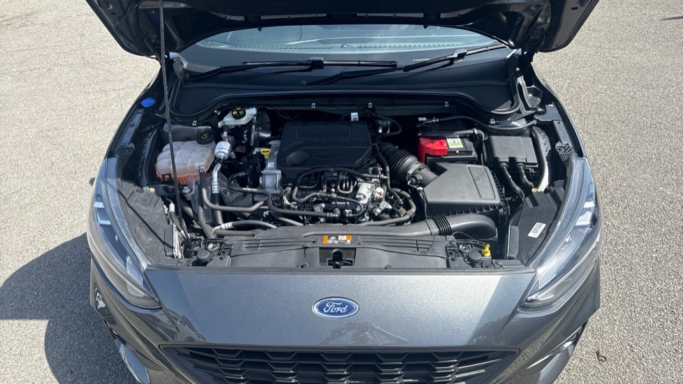 Ford Focus 1.5 Ecoblue 120 Titanium Privacy Glass Grey #8