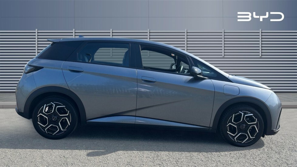 Byd Dolphin Comfort Grey #5