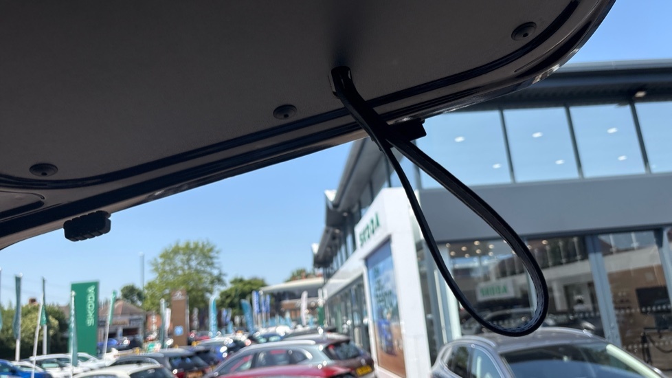 Ford Tourneo Connect 2.0 Ecoblue Titanium Blue #34