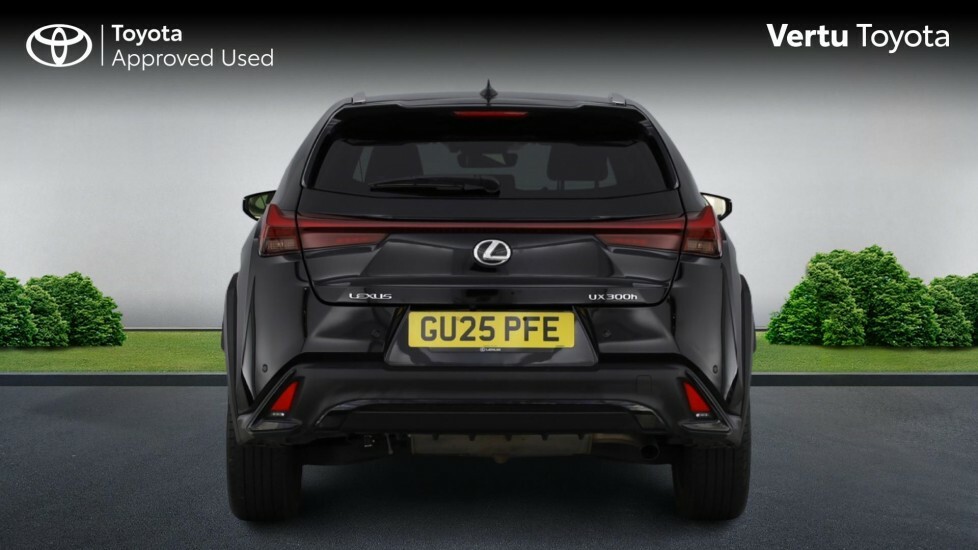 Lexus UX F-sport Design Black #5