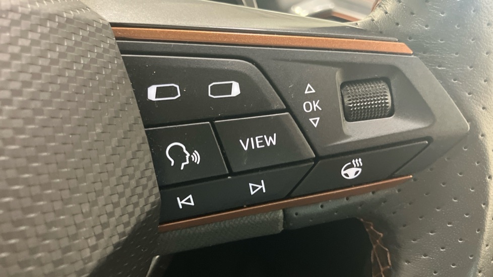 Cupra Formentor 2.0 Tsi 310 Vz2 Dsg 4Drive Panoramic Sunroof Black #24