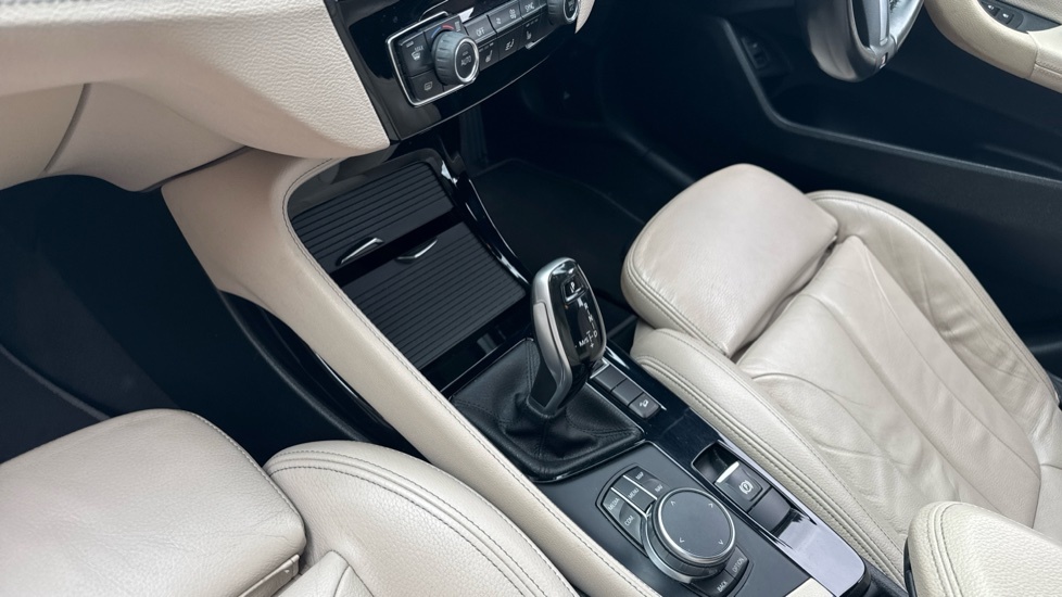 BMW X2 X2 Sdrive20i M Sport Gold #13