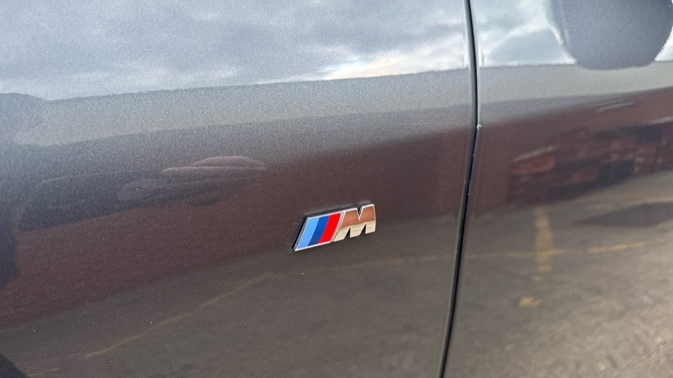 BMW X2 X2 Sdrive20i M Sport Gold #54