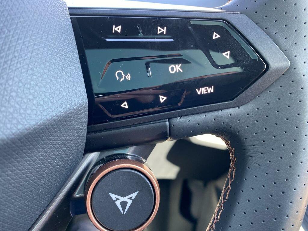 Cupra Tavascan 210Kw V1 77Kwh Blue #15