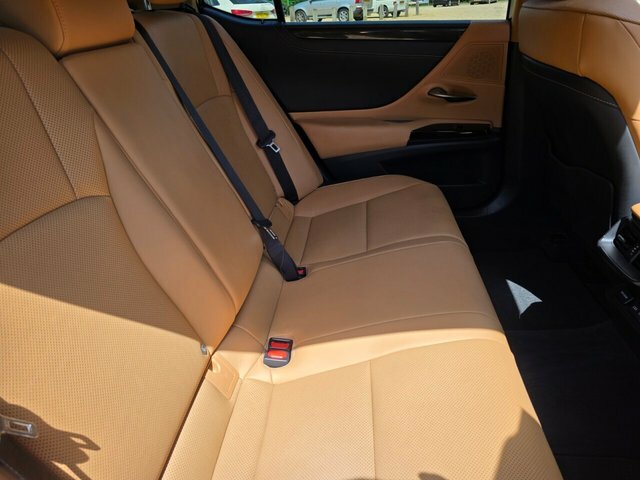 Lexus ES 300H F-sport Tech Safety Black #44