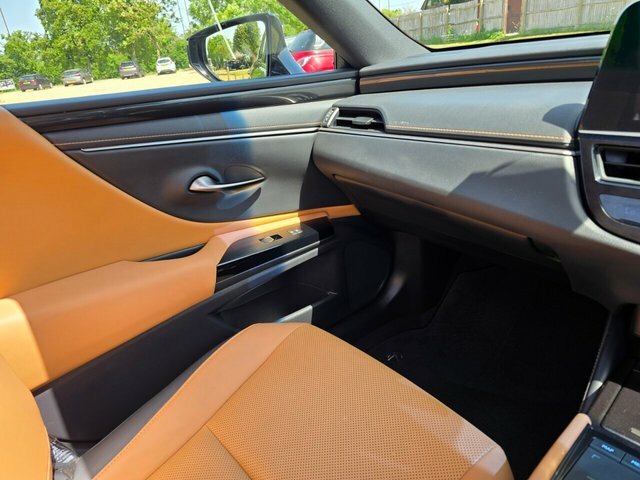 Lexus ES 300H F-sport Tech Safety Black #38