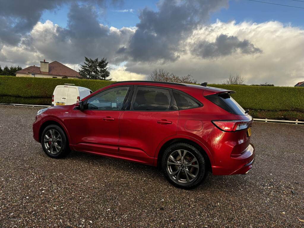 Ford Kuga 1.5 Ecoblue St-line First Edition Red #6