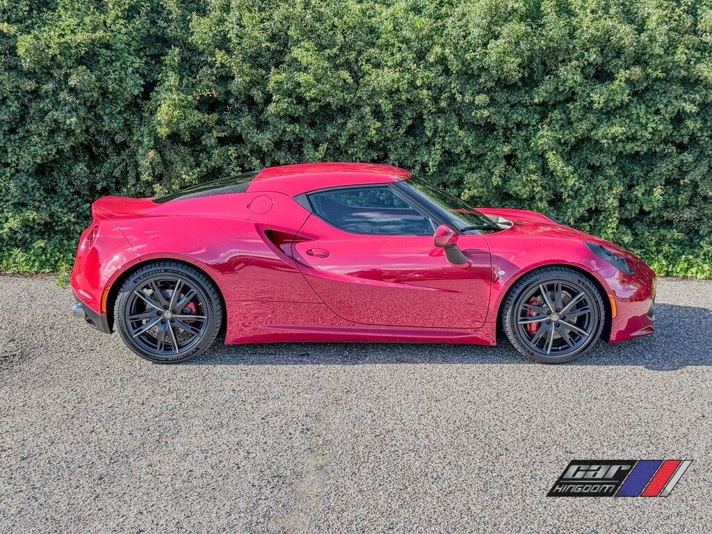 Alfa Romeo 4C  Grey #14
