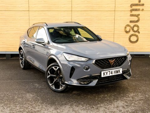 Cupra Formentor Suv Grey