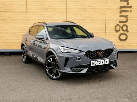 Cupra Formentor Suv Grey
