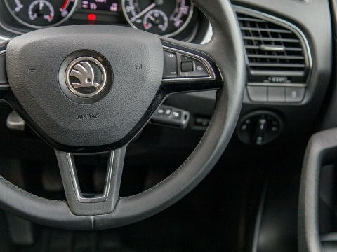 Skoda Fabia  Silver #19