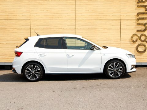Skoda Fabia 1.0 Tsi 110 Colour Edition Dsg Grey #12