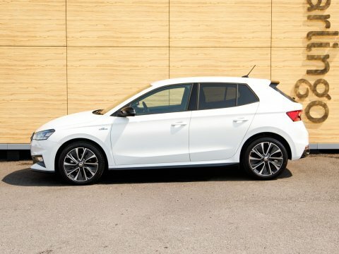 Skoda Fabia 1.0 Tsi 110 Colour Edition Dsg Grey #13