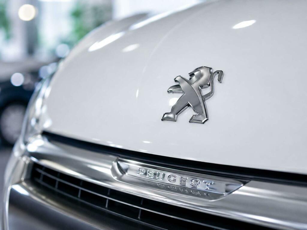 Peugeot 208 Puretech Active Grey #9