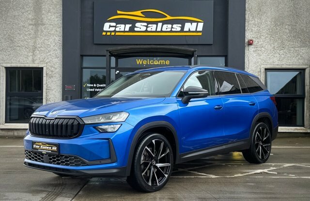 Skoda Kodiaq 2.0 Tdi Se Suv Dsg Euro 6 S S 7 Seat GL74LVJ Blue #2
