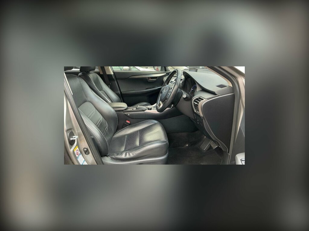 Lexus NX 2.5 300H Luxury E-cvt 4Wd Euro 6 Ss Silver