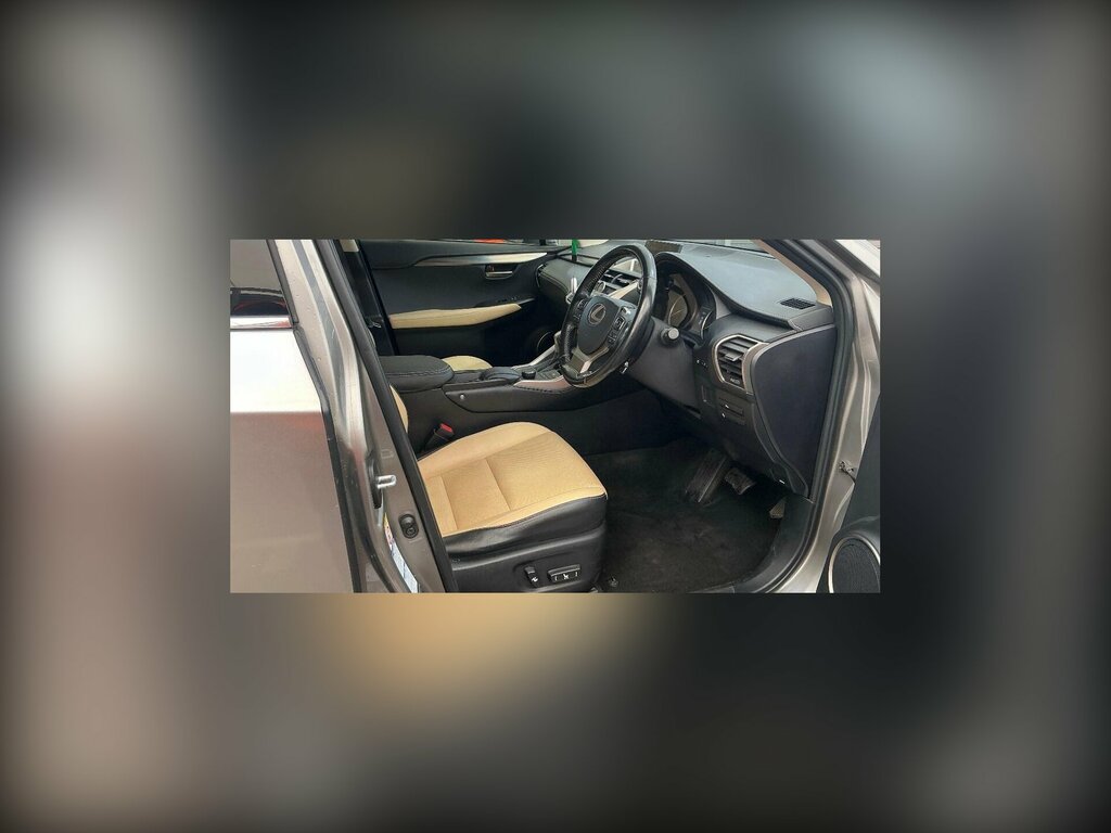 Lexus NX 2.5 300H Luxury E-cvt 4Wd Euro 6 Ss Silver