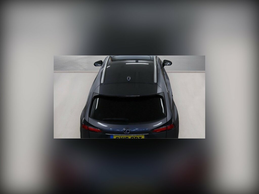 Lexus NX 2.5 300H Luxury E-cvt 4Wd Euro 6 Ss Grey #13