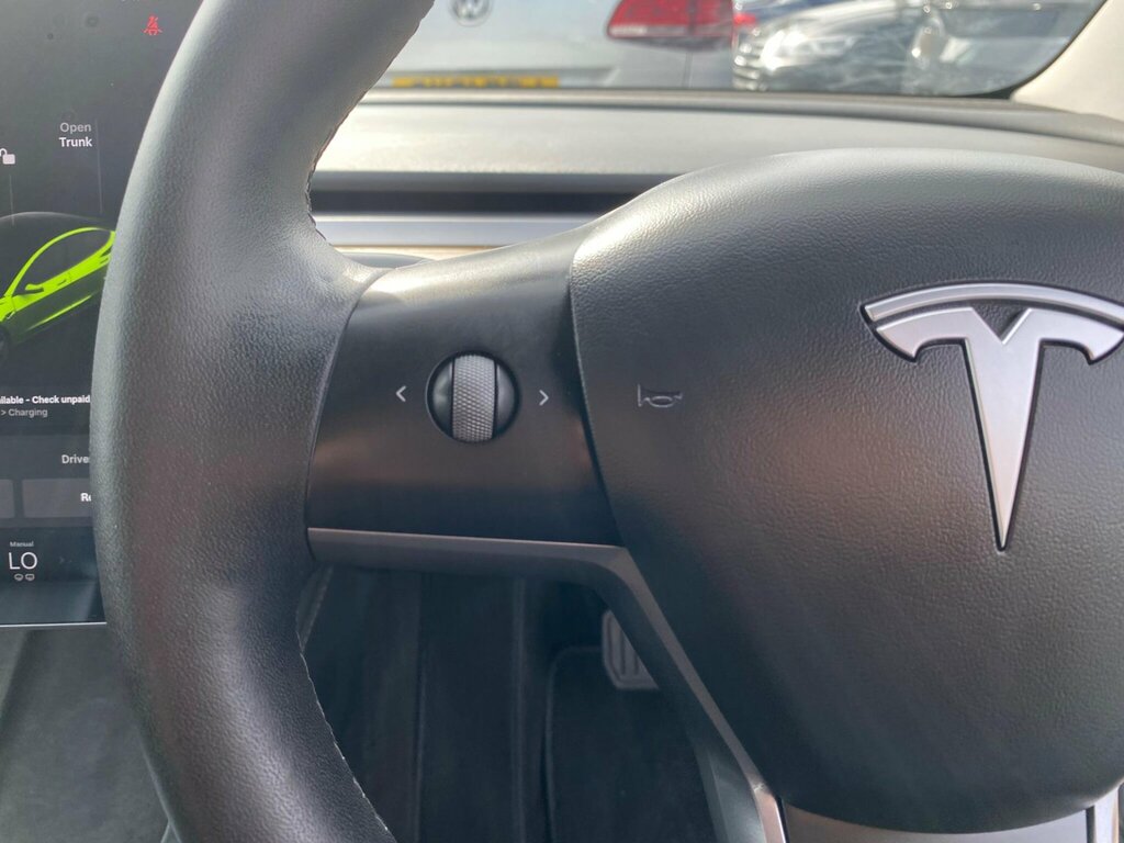 Tesla Model 3 2021 71 Dual #24