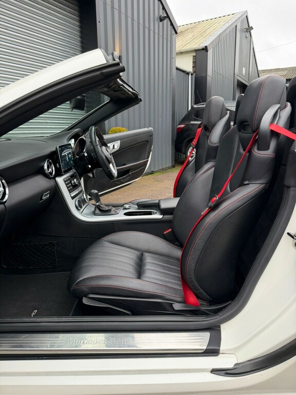 Mercedes-Benz SLK 250 Cdi Blueefficiency Tip Grey #13