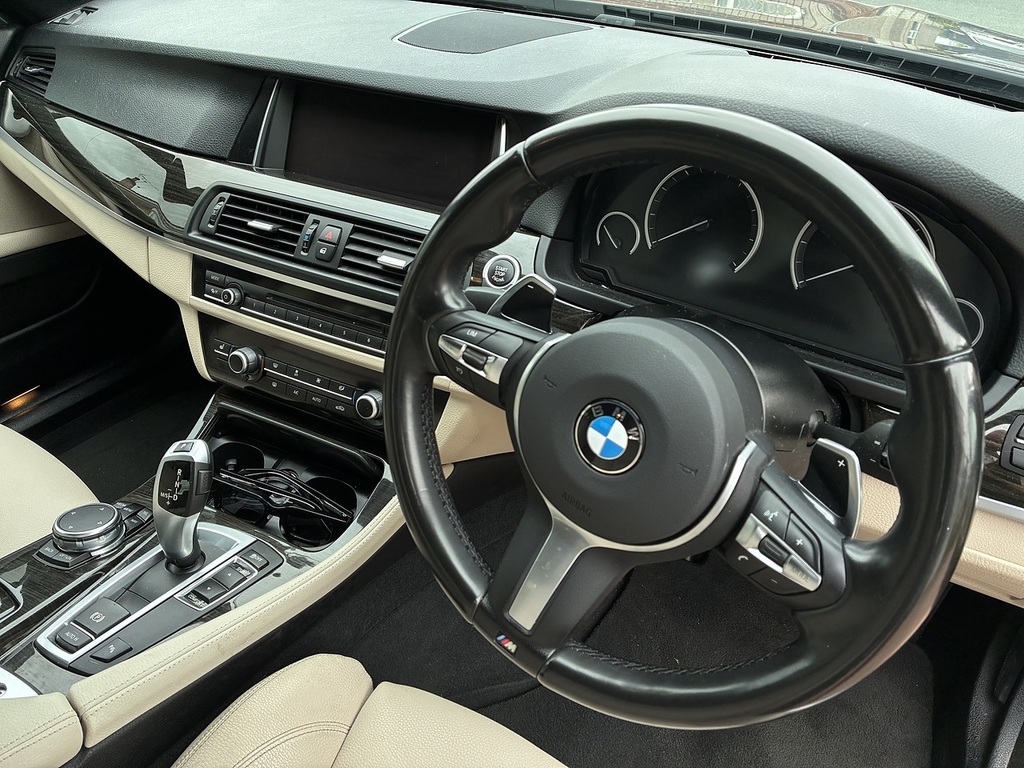 BMW 5 Series 520D Luxury Blue #7