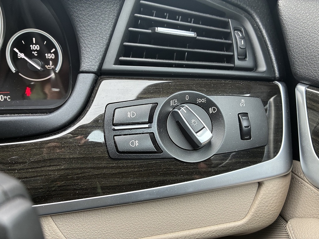 BMW 5 Series 520D Luxury Blue #13