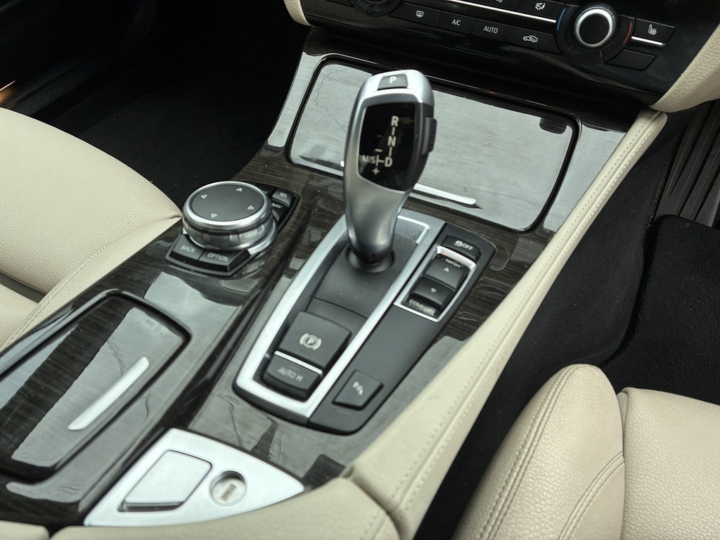 BMW 5 Series 520D Luxury Blue #10