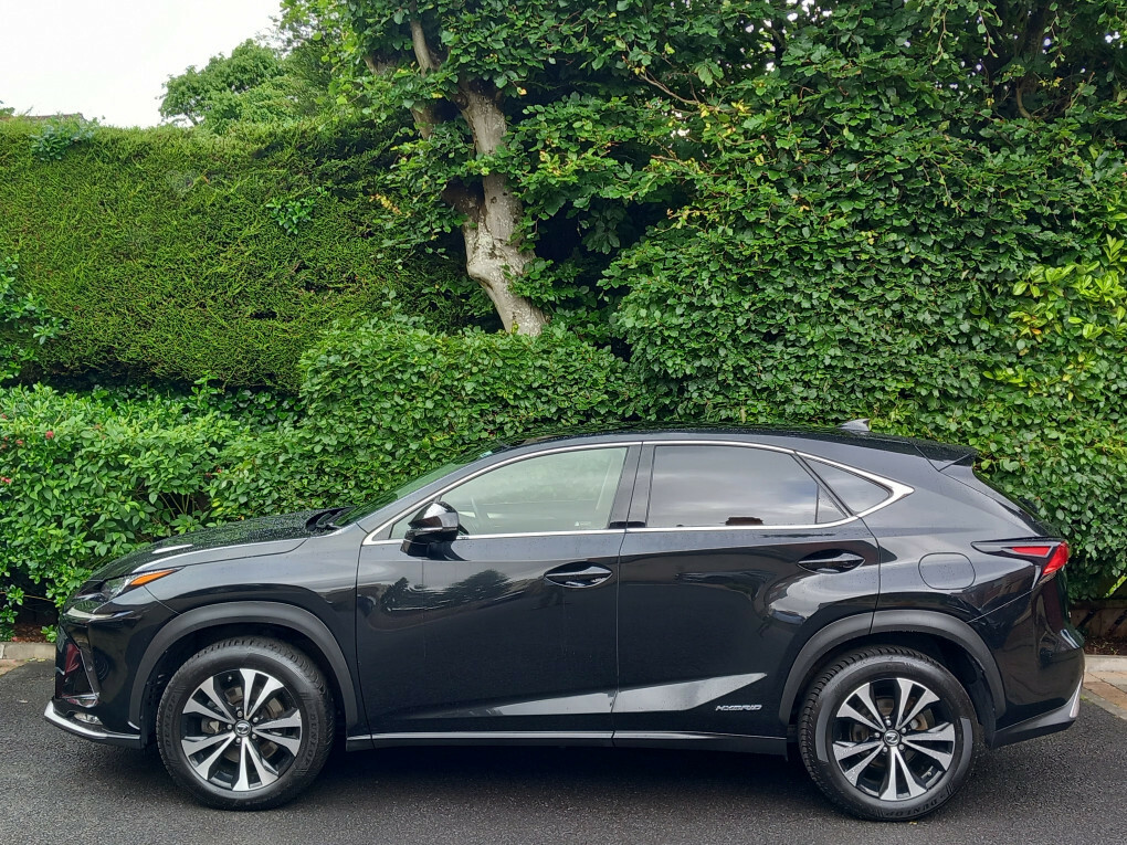 Lexus NX 300H 2.5 Cvt Premium Sport Edtion Pan Roof SL20YPX #6