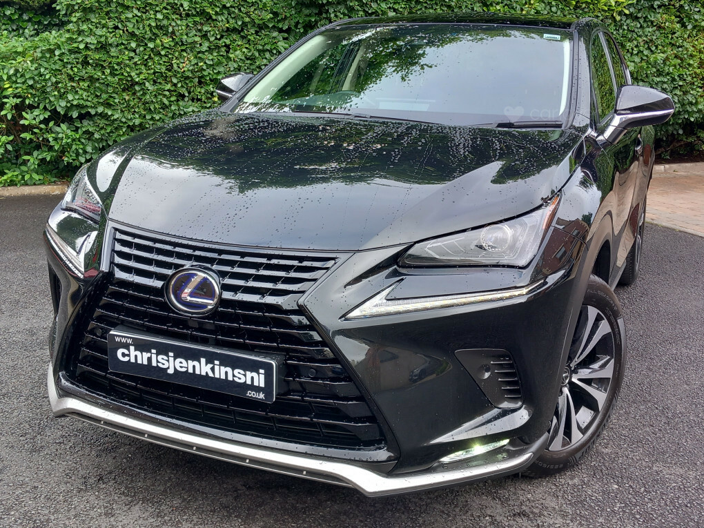 Lexus NX 300H 2.5 Cvt Premium Sport Edtion Pan Roof SL20YPX #3
