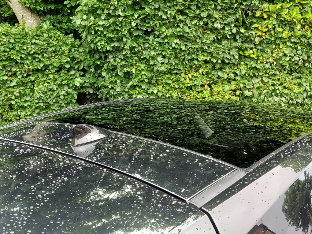 Lexus NX 300H 2.5 Cvt Premium Sport Edtion Pan Roof SL20YPX #5
