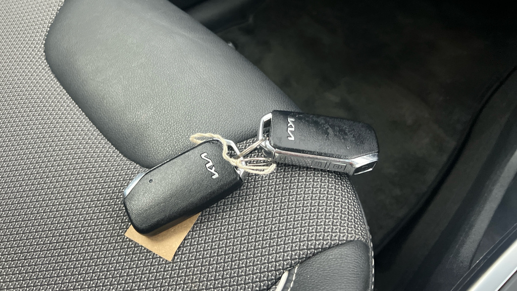 Kia e-Niro 64.8 Kwh 2 Green #27