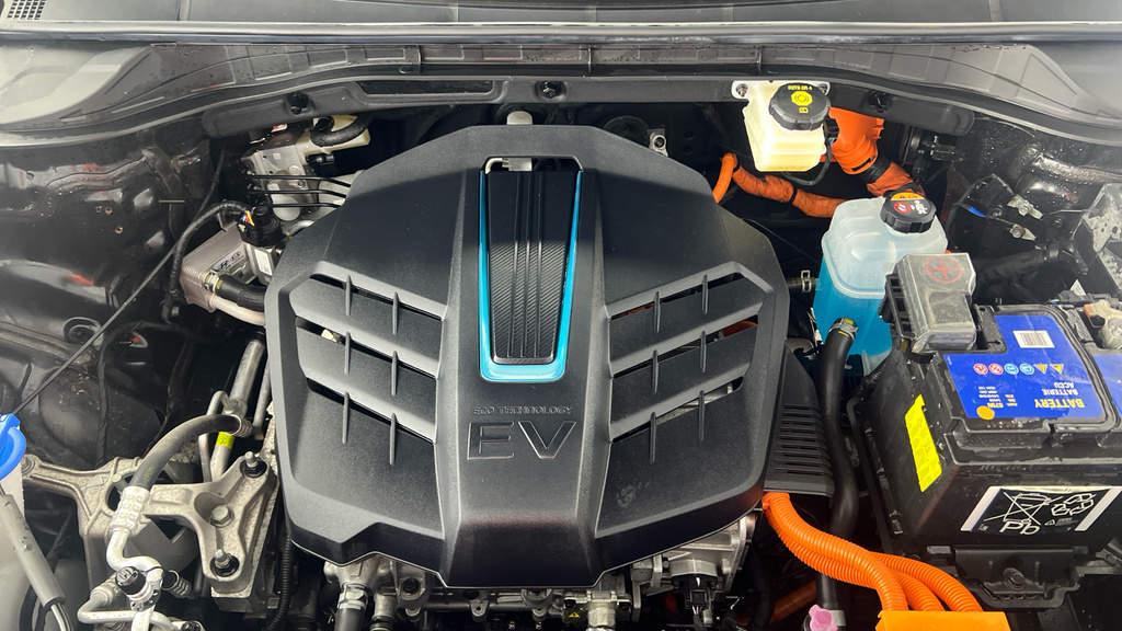 Kia e-Niro 64.8 Kwh 2 Green #21