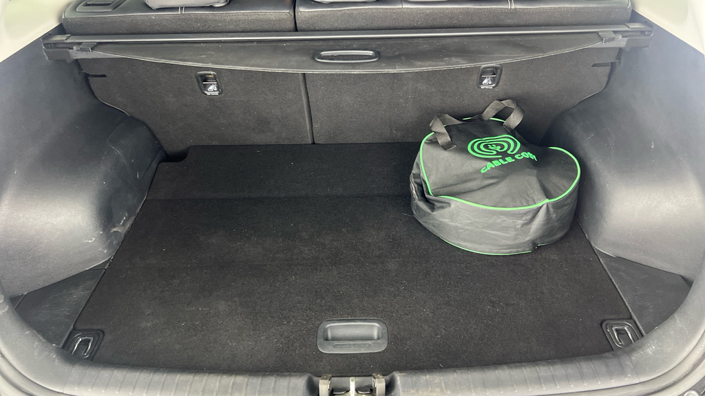 Kia e-Niro 64.8 Kwh 2 Green #20