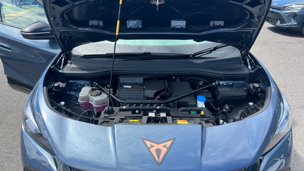 Cupra Tavascan Vz2 Blue #16