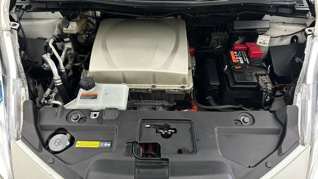 Nissan Leaf Leaf #20