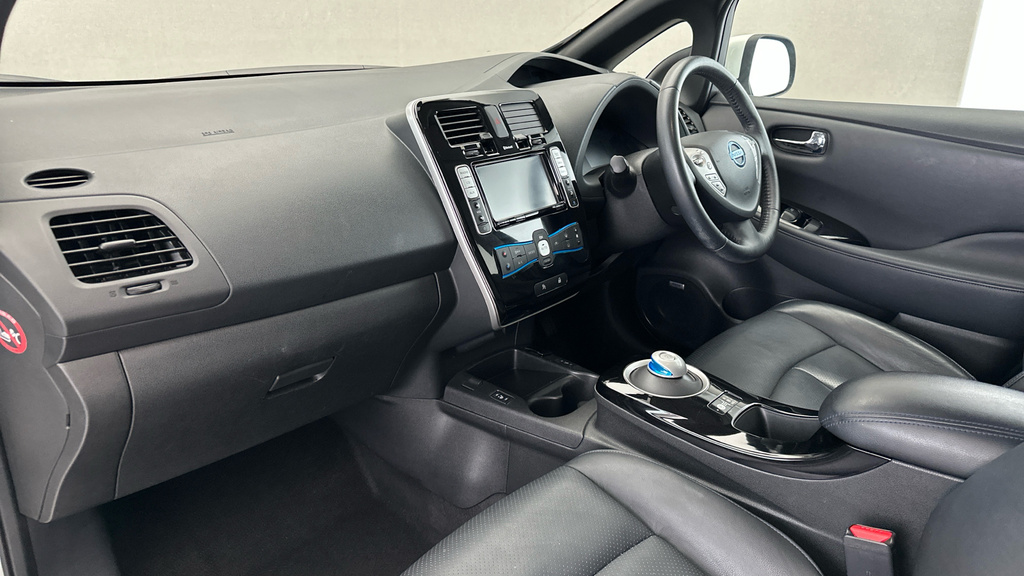 Nissan Leaf Leaf #11