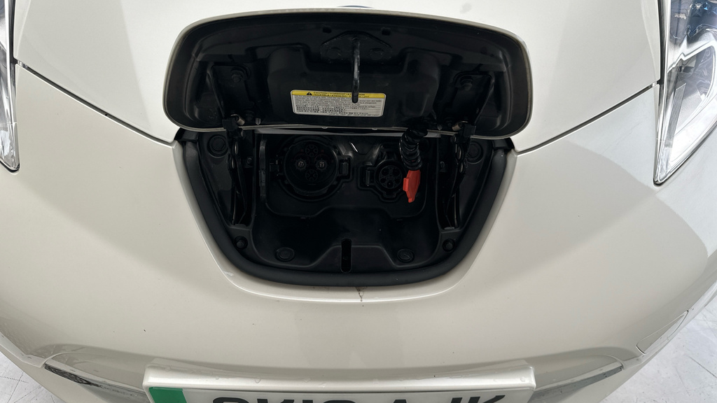Nissan Leaf Leaf #25