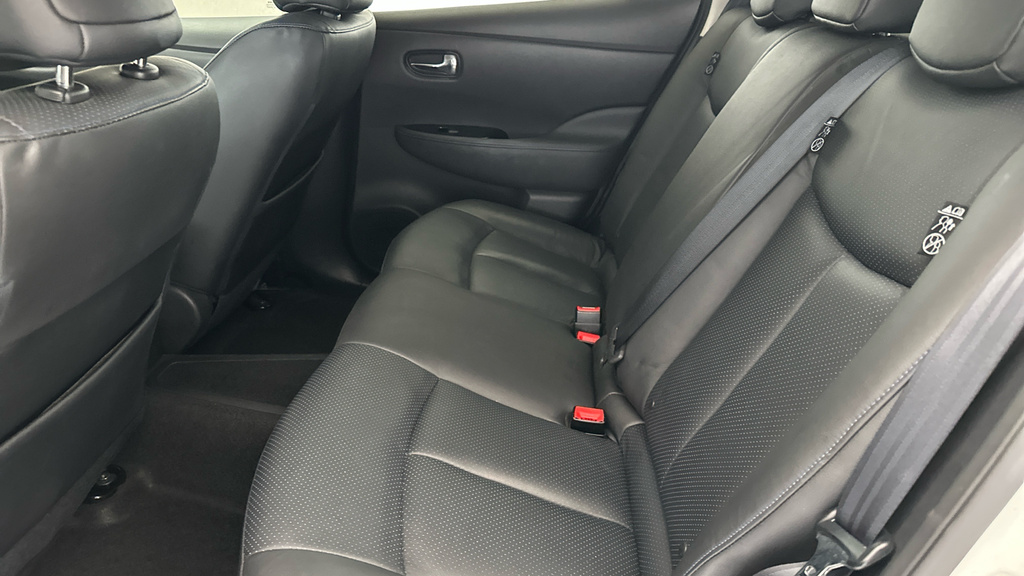 Nissan Leaf Leaf #18