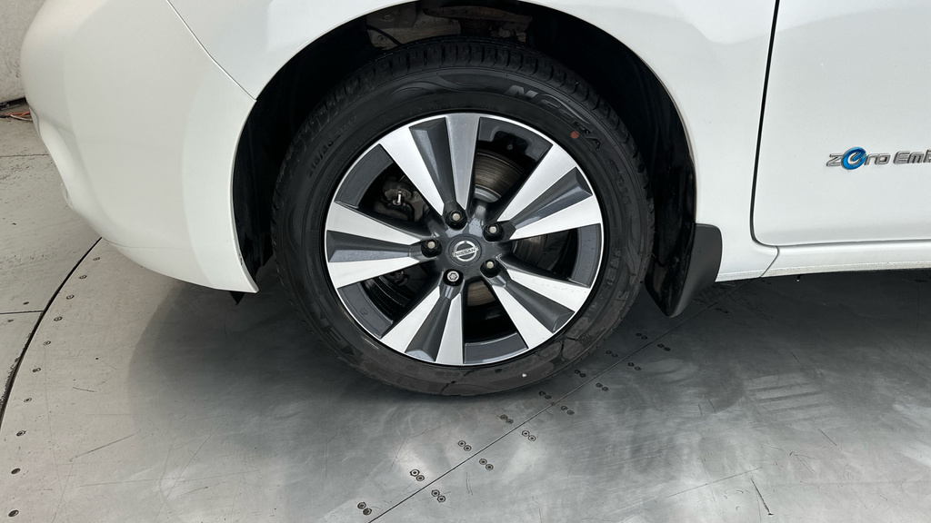 Nissan Leaf Leaf #21